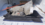 1789001623590.png