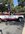 IMG_4348.jpeg