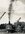 IMG_7077.jpeg