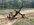 IMG_7086.jpeg