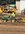 IMG_5495.jpeg