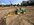 IMG_7106.jpeg