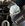 IMG_8151.jpeg