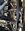 IMG_8152.jpeg