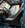 IMG_8157.jpeg