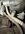IMG_6976.jpeg