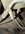 IMG_6977.jpeg