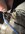 IMG_6978.jpeg
