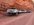 IMG_4436.jpeg