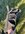 Messenger_creation_EC6763B5-AC76-476C-974C-2667F48E2C81.jpeg