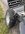 Messenger_creation_3EC9208F-BD1F-45A9-BF67-8DA4F2DA4DC3.jpeg