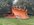 IMG_7152.jpeg