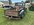 IMG_7150.jpeg