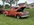IMG_7123.jpeg