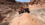 Timeline 1_01_00_12_00.png