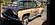 IMG_5256.jpeg