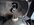 IMG_4903.jpeg