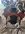 IMG_5507.jpeg