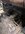 IMG_5285.jpeg