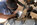 IMG_3692.jpeg