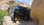 IMG_3700.jpeg