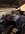 IMG_6628.jpeg IMG_6628.jpeg