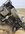 IMG_0748.jpeg