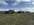 IMG_3563.jpeg