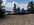 IMG_6007.jpeg