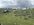 att.PViki5EG1GrPWy7fQctGQqHTwBWmELUdgqlbmHqUAyE.jpeg