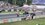 IMG_2253.jpeg