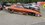 IMG_2256.jpeg