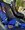 IMG_8350.jpeg