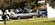 IMG_6793.jpeg IMG_6793.jpeg
