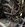 IMG_8352.jpeg