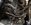 IMG_8353.jpeg