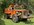 IMG_3613.jpeg