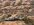 IMG_3910.jpeg
