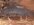 IMG_3920.jpeg