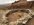 IMG_3923.jpeg