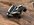 IMG_3931.jpeg