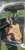 IMG_9917.jpeg