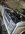 IMG_9919.jpeg