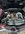 IMG_7234.jpeg