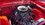 IMG_2300.jpeg