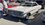 IMG_2320.jpeg