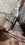 IMG_7022.jpeg