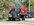 IMG_7239.jpeg