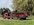 IMG_7280.jpeg