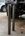 IMG_8382.jpeg